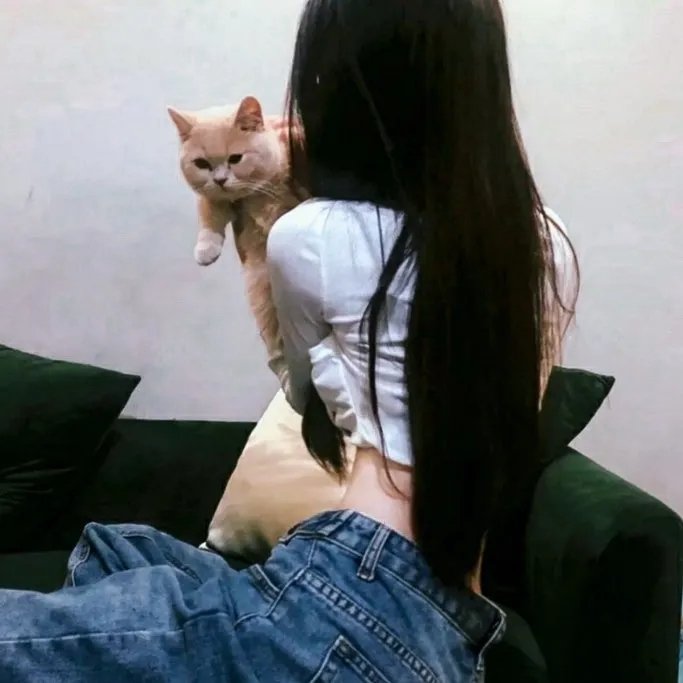 高女人和矮丈夫